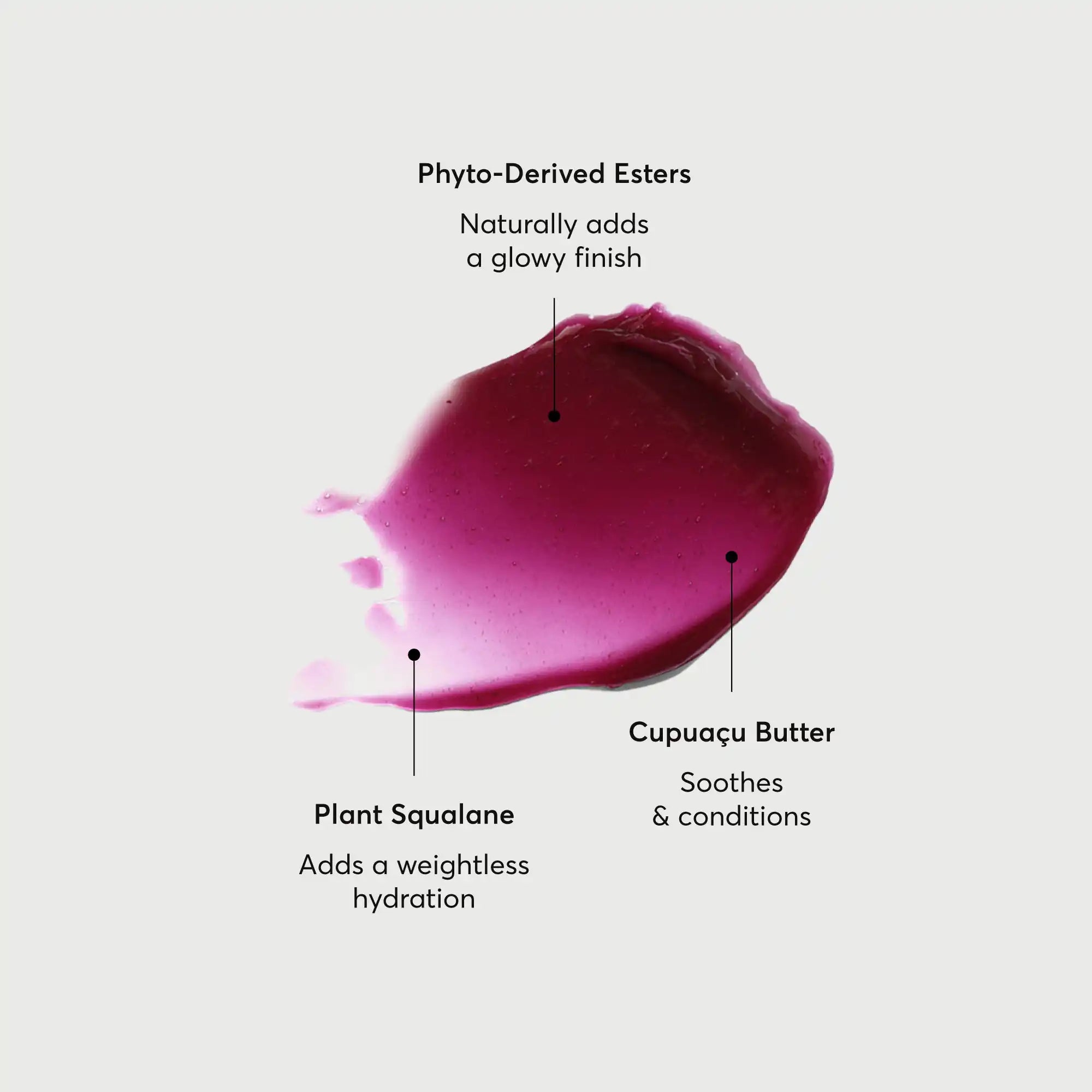 Phyto-Glow Lip Balm Jam